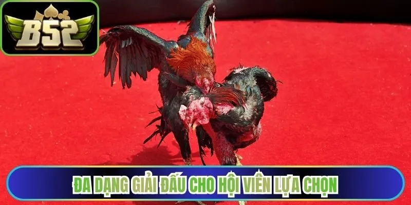 Đa dạng giải đấu để hội viên tham gia 